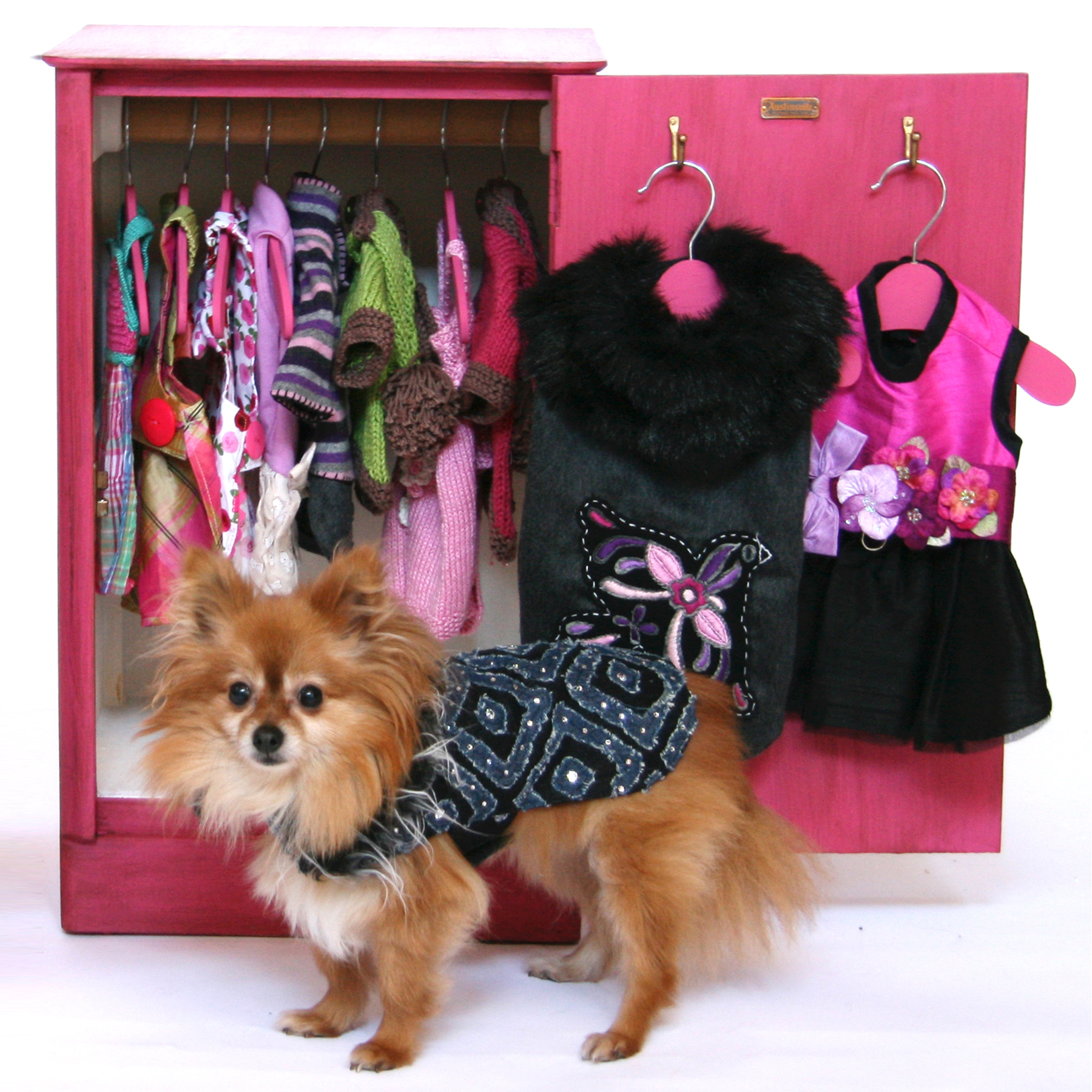 Wholesale designer dog clothes, t 